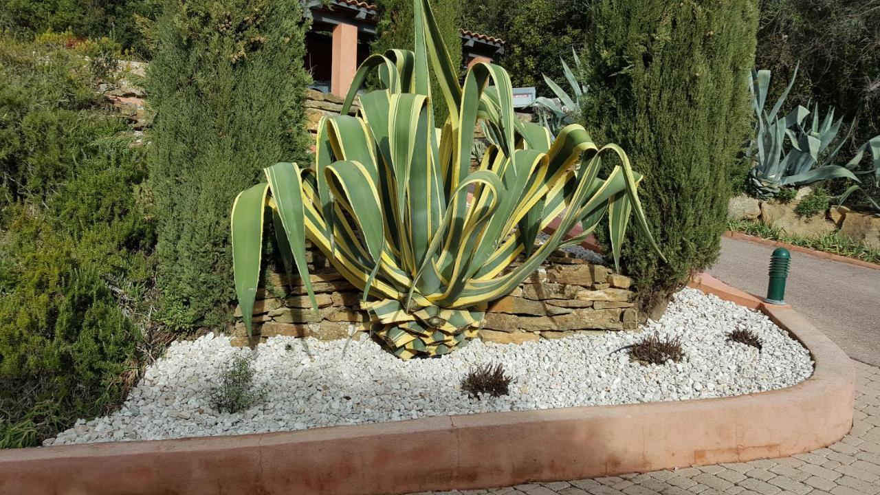 La Maison Du Castellet Le Castellet  Dış mekan fotoğraf