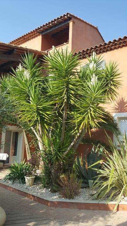 La Maison Du Castellet Le Castellet  Dış mekan fotoğraf